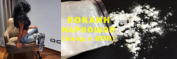 PSILOCYBIN Бородино