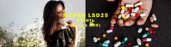 PSILOCYBIN Бородино