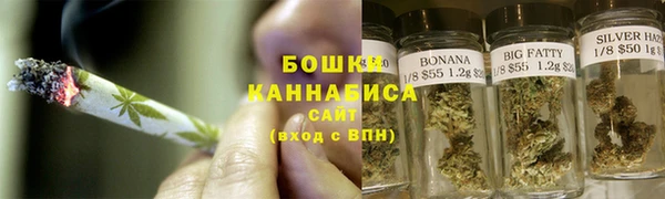 PSILOCYBIN Бородино