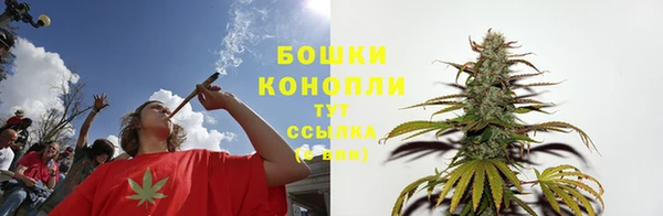 PSILOCYBIN Бородино