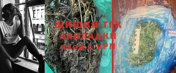 PSILOCYBIN Бородино