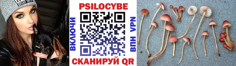 mega как зайти  Касли  Псилоцибиновые грибы мицелий 